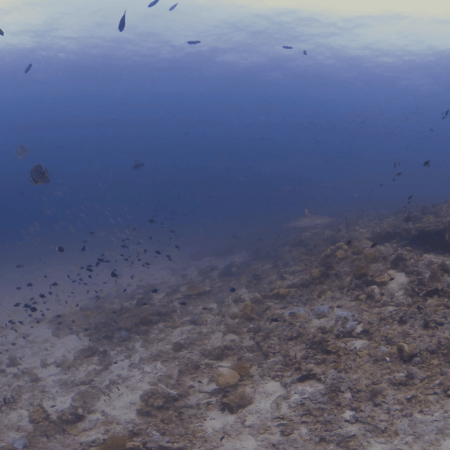 vid 20240416 103709 20240422113252 1.png