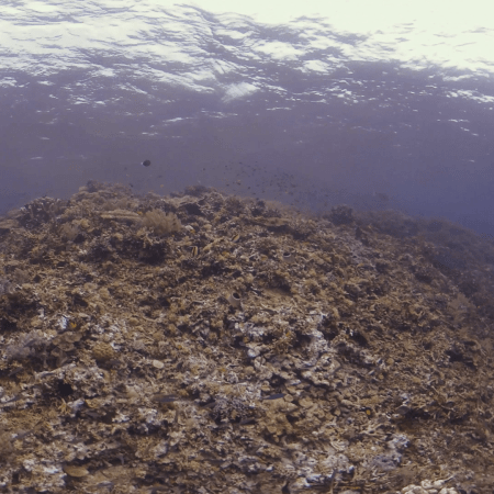 vid 20250901 093456 20260222173857 1.png