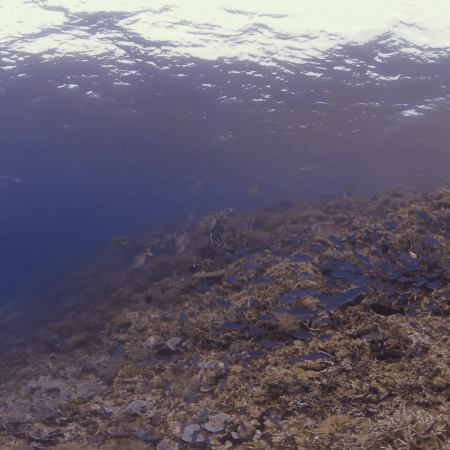 vid 20250901 093812 20260222173937 1.png