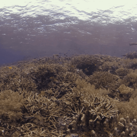 vid 20250901 094147 20260222173954 1.png