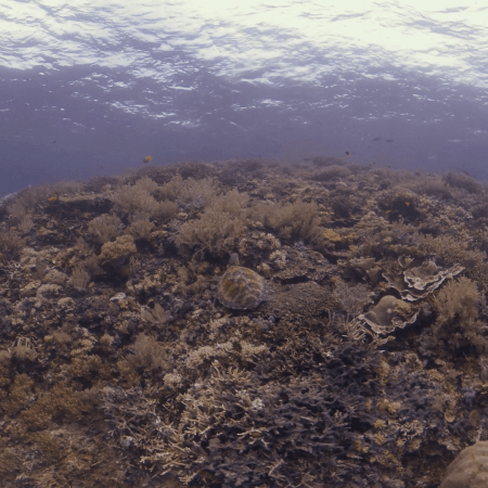 vid 20250901 094616 20260222174023 1.png