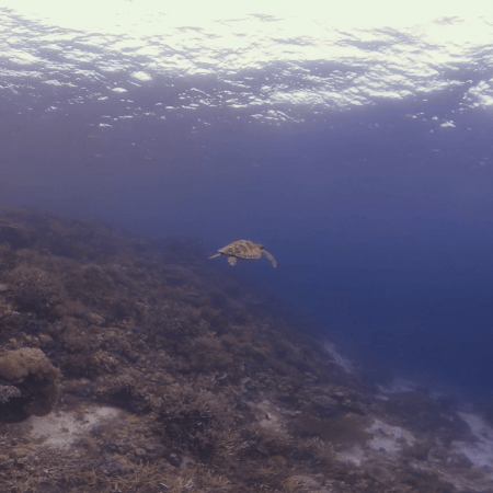 vid 20250901 094616 20260222174047 1.png