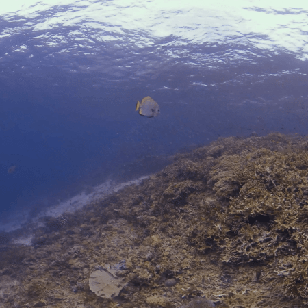 vid 20250901 095642 20260222174108 1.png