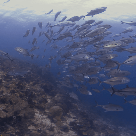 vid 20250901 121114 20251031094248 1.png