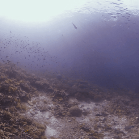 vid 20250901 153819 20260122123036 1.png