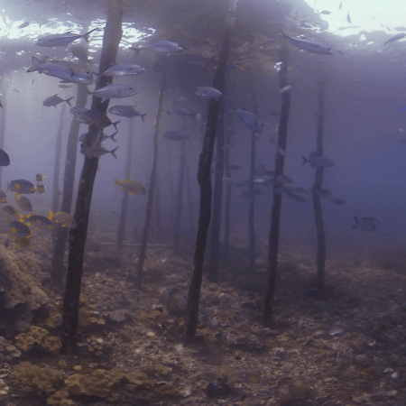 vid 20250901 153819 20260123013250 1.png