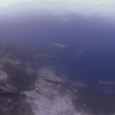 vid 20250901 154200 20260123013321 1.png