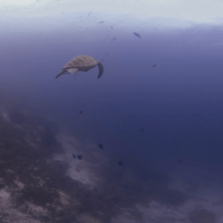 vid 20250901 154550 20260123013407 1.png