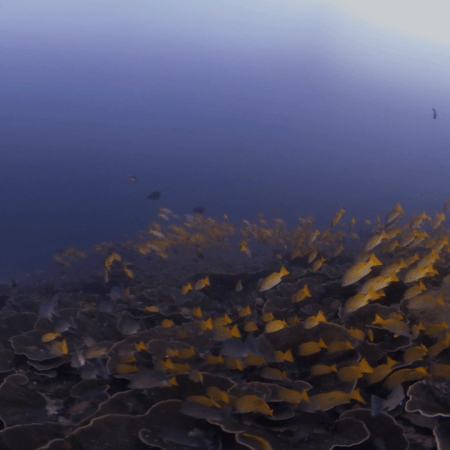 vid 20250901 154931 20260123013440 1.png