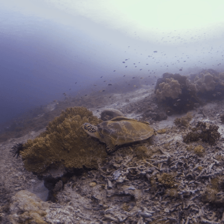 vid 20250901 155722 20260123013632 1.png