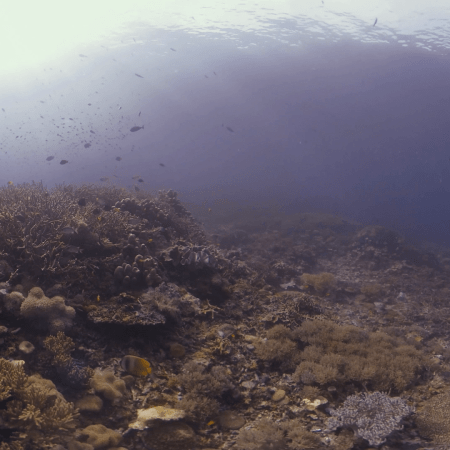 vid 20250901 161209 20260123013719 1.png