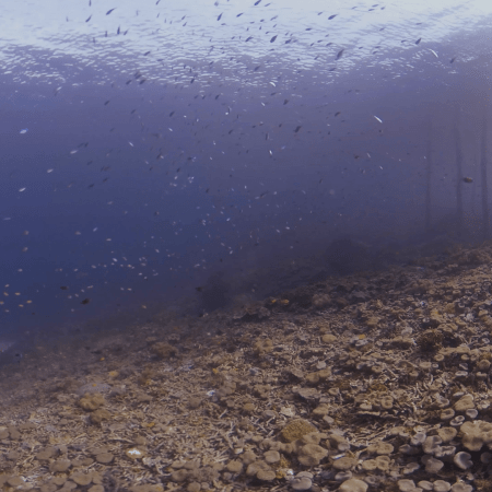 vid 20250901 161209 20260123013733 1.png