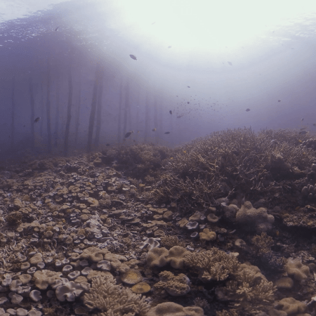 vid 20250901 161209 20260123013755 1.png