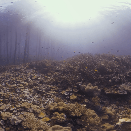 vid 20250901 161209 20260123013812 1.png