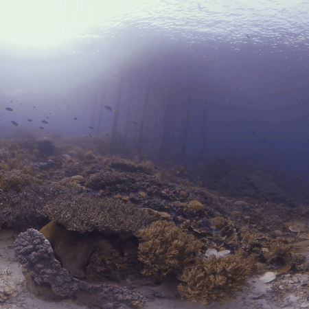 vid 20250901 162112 20260123013833 1.png