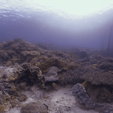 vid 20250901 162112 20260123013906 1.png