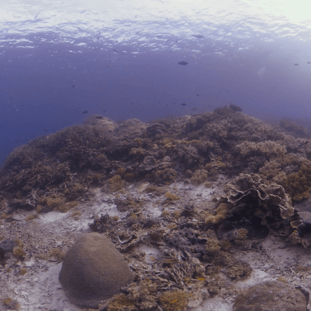 vid 20250901 162112 20260123013918 1.png