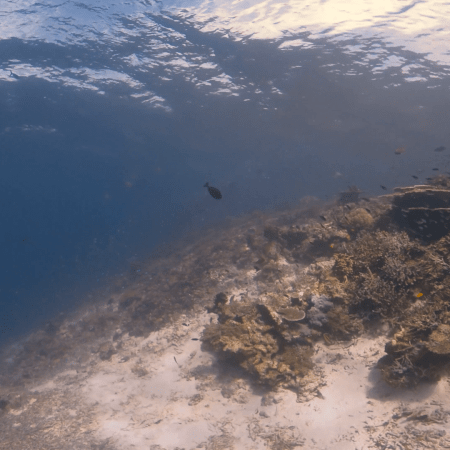 vid 20250902 144002 20251223100648 1.png