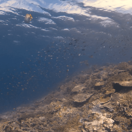 vid 20250902 144002 20251223100711 1.png