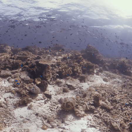 vid 20250902 144319 20251223100742 1.png