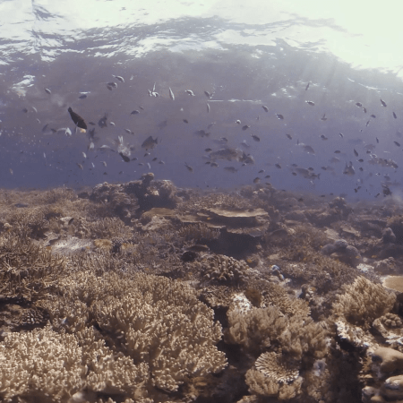 vid 20250902 144319 20251223100809 1.png