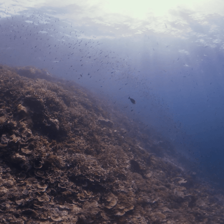 vid 20250902 144630 20251223100832 1.png