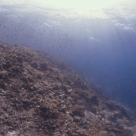 vid 20250902 144630 20251223100857 1.png