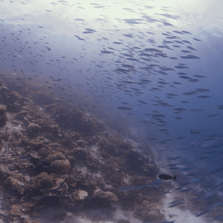 vid 20250902 145602 20251223100913 1.png