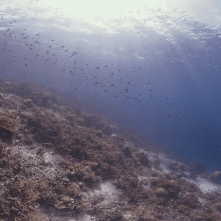 vid 20250902 145602 20251223100941 1.png