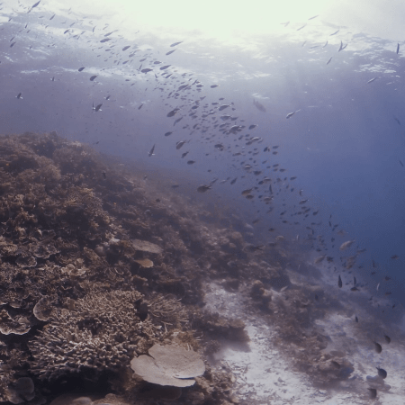 vid 20250902 145602 20251223100956 1.png