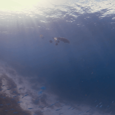 vid 20250902 145914 20251223101018 1.png