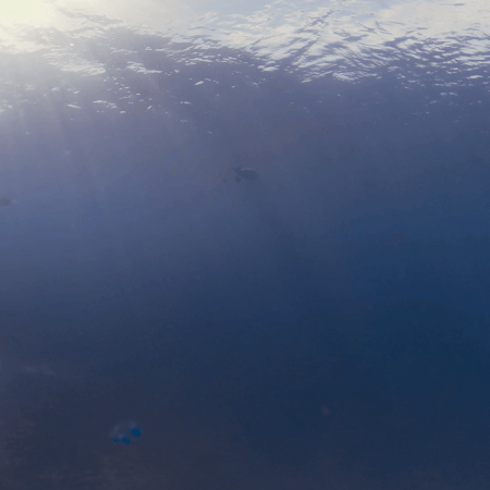 vid 20250902 145914 20251223101050 1.png