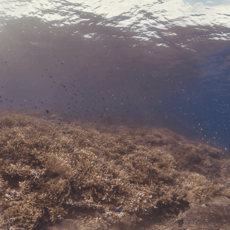 vid 20250902 150448 20251223101107 1.png