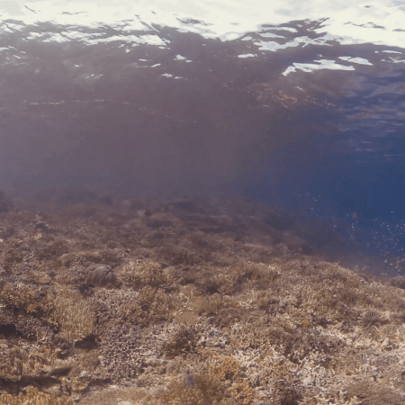 vid 20250902 150448 20251223101138 1.png