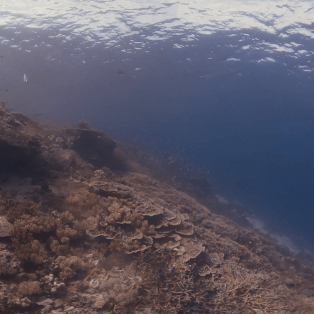 vid 20250902 151111 20251223101225 1.png