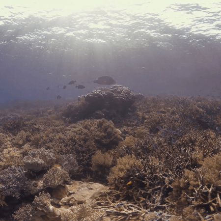 vid 20250902 151813 20251223101342 1.png