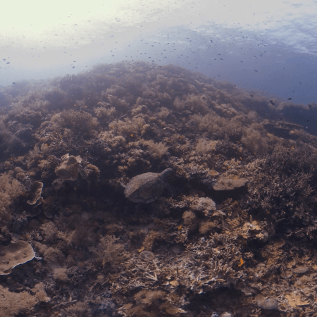 vid 20250902 152357 20251223101446 1.png