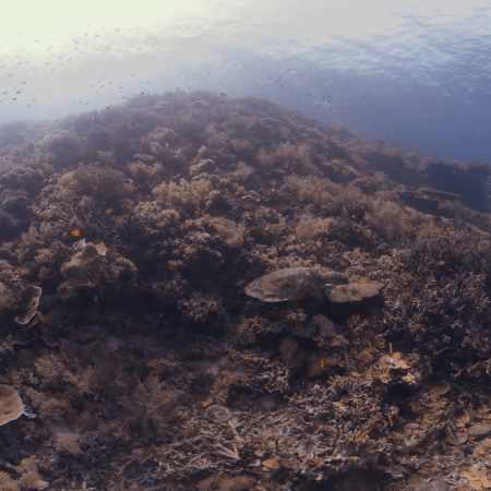 vid 20250902 152357 20251223101510 1.png