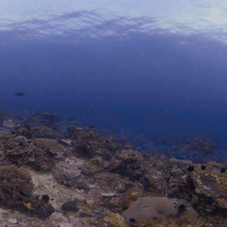 vid 20250903 085248 20251008125707 1.png