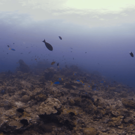 vid 20250903 091546 20251008130018 1.png