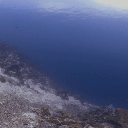 vid 20250903 104605 20251031094320 1.png