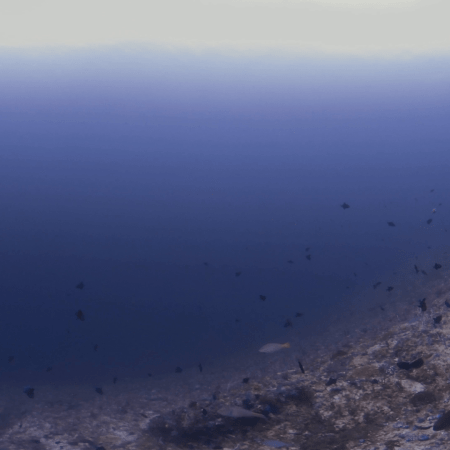 vid 20250903 104752 20251031094350 1.png