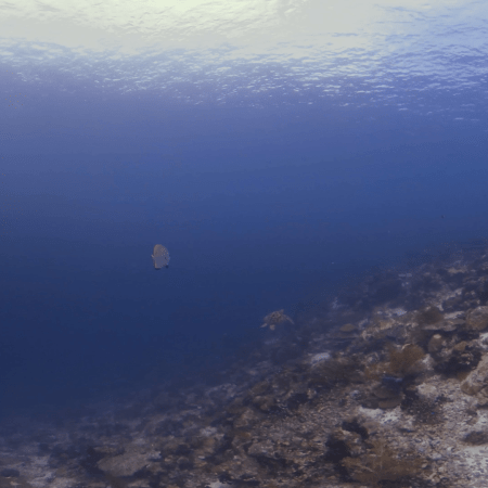 vid 20250903 105307 20251031094423 1.png