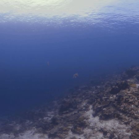 vid 20250903 105307 20251031094449 1.png