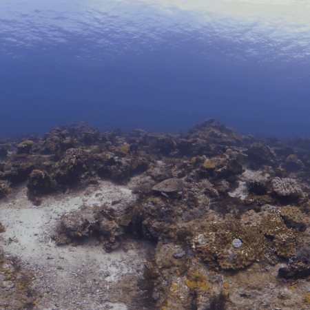 vid 20250903 105632 20251031094519 1.png