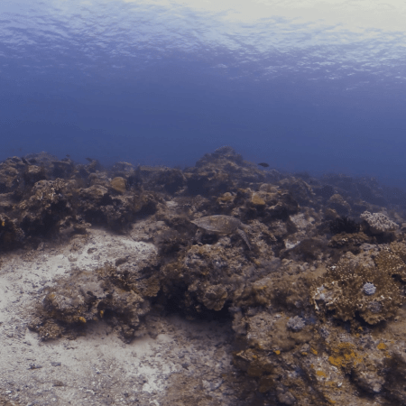 vid 20250903 105632 20251031094545 1.png