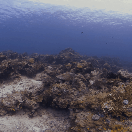 vid 20250903 105632 20251031094603 1.png