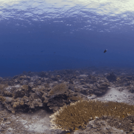 vid 20250903 110829 20251031094657 1.png