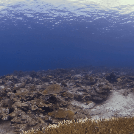 vid 20250903 110829 20251031094733 1.png