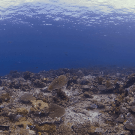 vid 20250903 110829 20251031094746 1.png